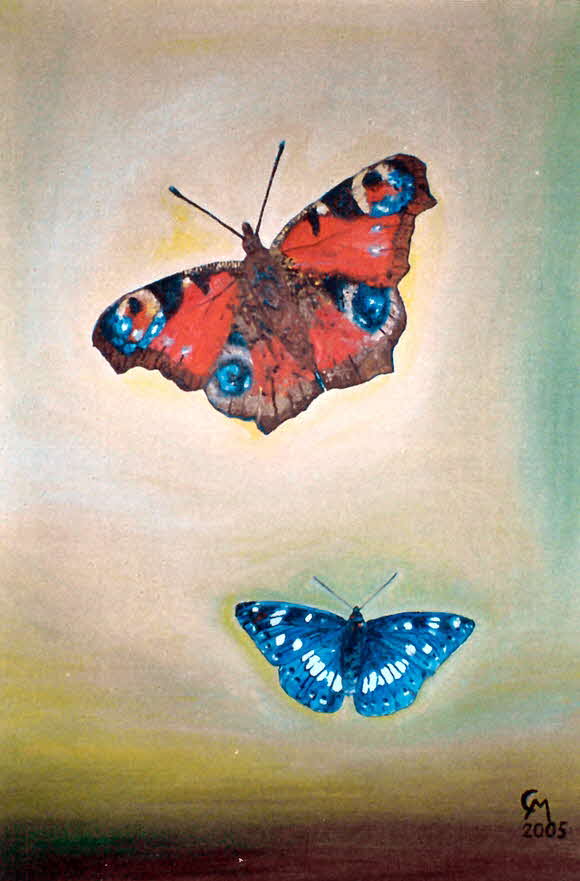 Schmetterlinge - Öl auf Leinwand - 2005 - 50 x 70 cm - 350 €